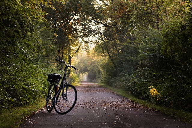 Alles wat je moet weten over de voordelen van fietsen met Tretwerk